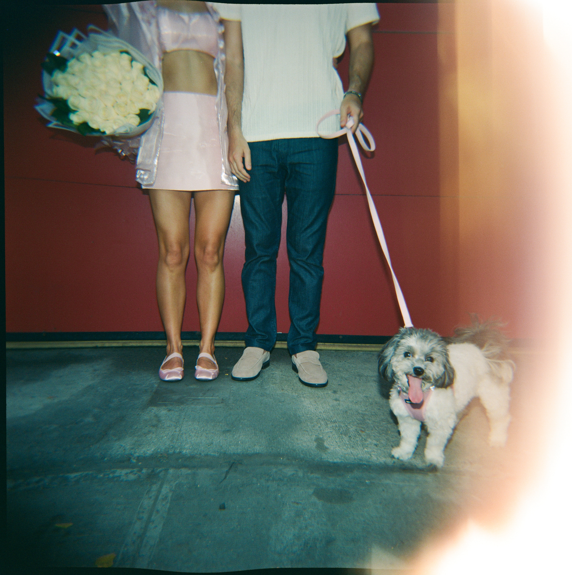 Paige and Marshall walking through their NYC neighborhood with their dog, for a modern & swanky engagement in Downtown Manhattan.